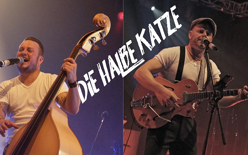 Die Halbe Katze im Hoffmanns